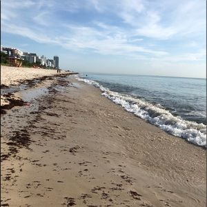 Meet your Posher, Riley